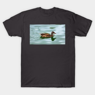 Duck Swimming In a Pond T-Shirt